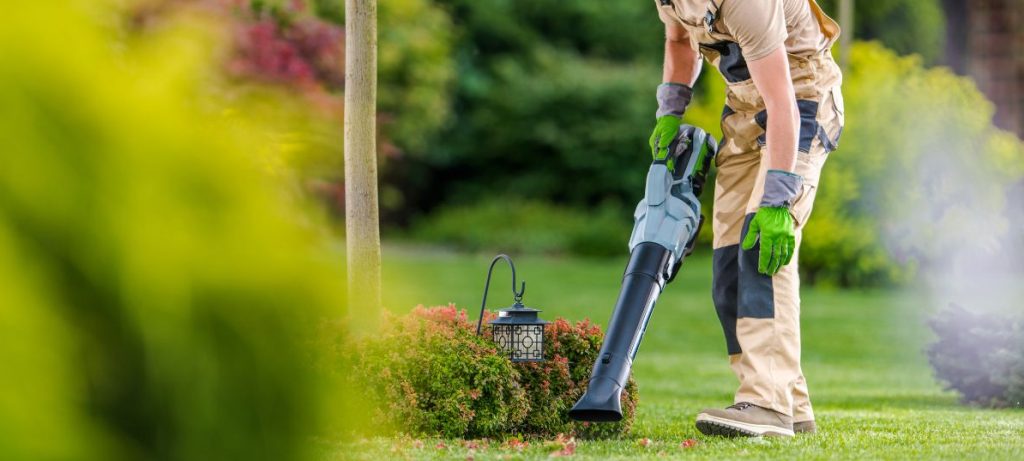 entretien espaces verts 93 agence CCLEAN